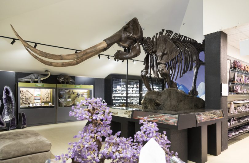 The gift shop is a wonder by itself, with thousands of crystals, fossils and toys.