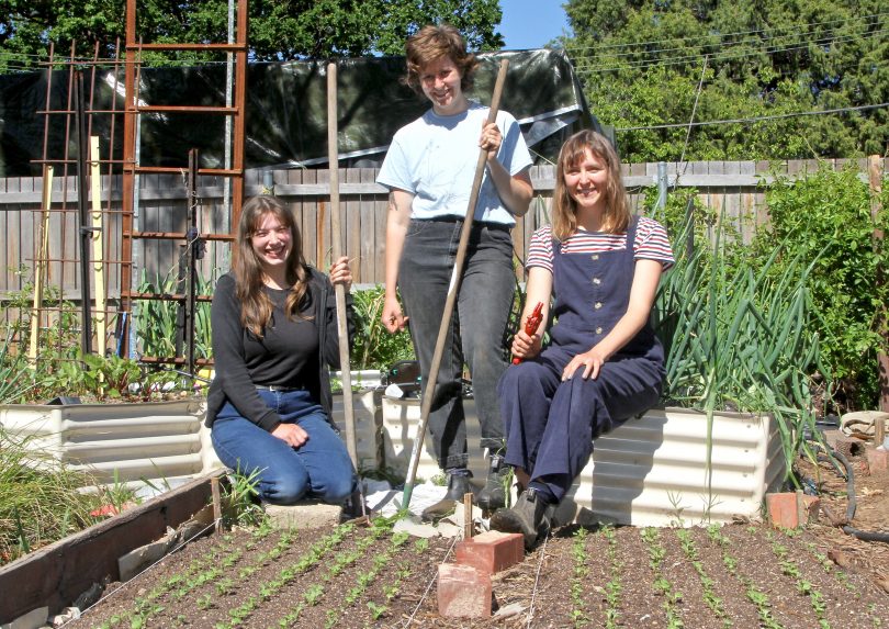 Suburban farmers Bea Kelly-Loane, Karina Vennonen and Lil Costello in garden.