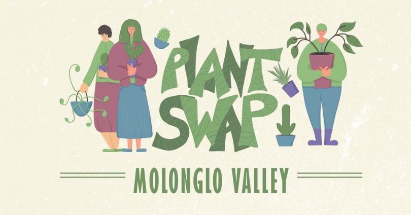 Molonglo Valley Plant Swap