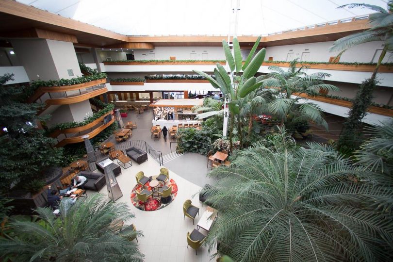 Tropical atrium