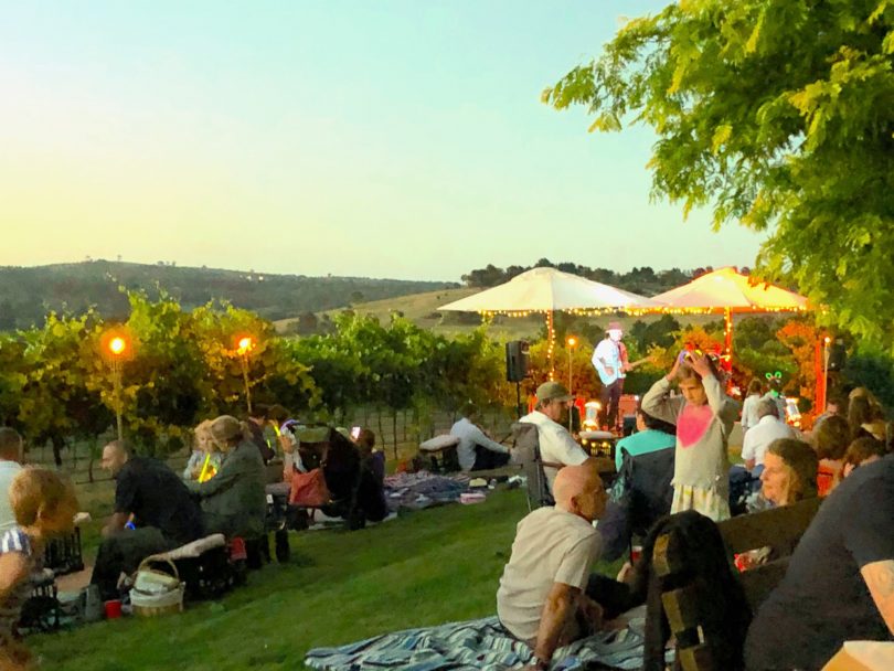 Music in the vines