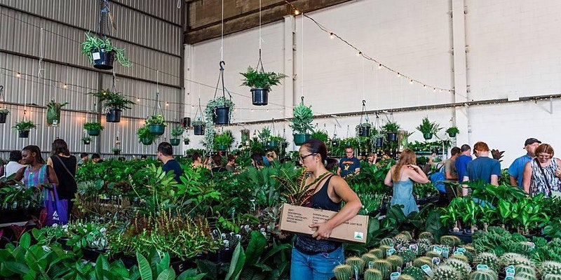 Indoor plant sale