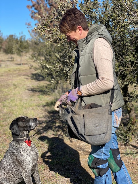 Gill Cummins with Pepper the truffle dog