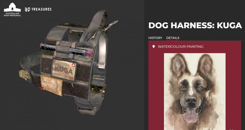 Dog harness as part of 3D Treasures online display