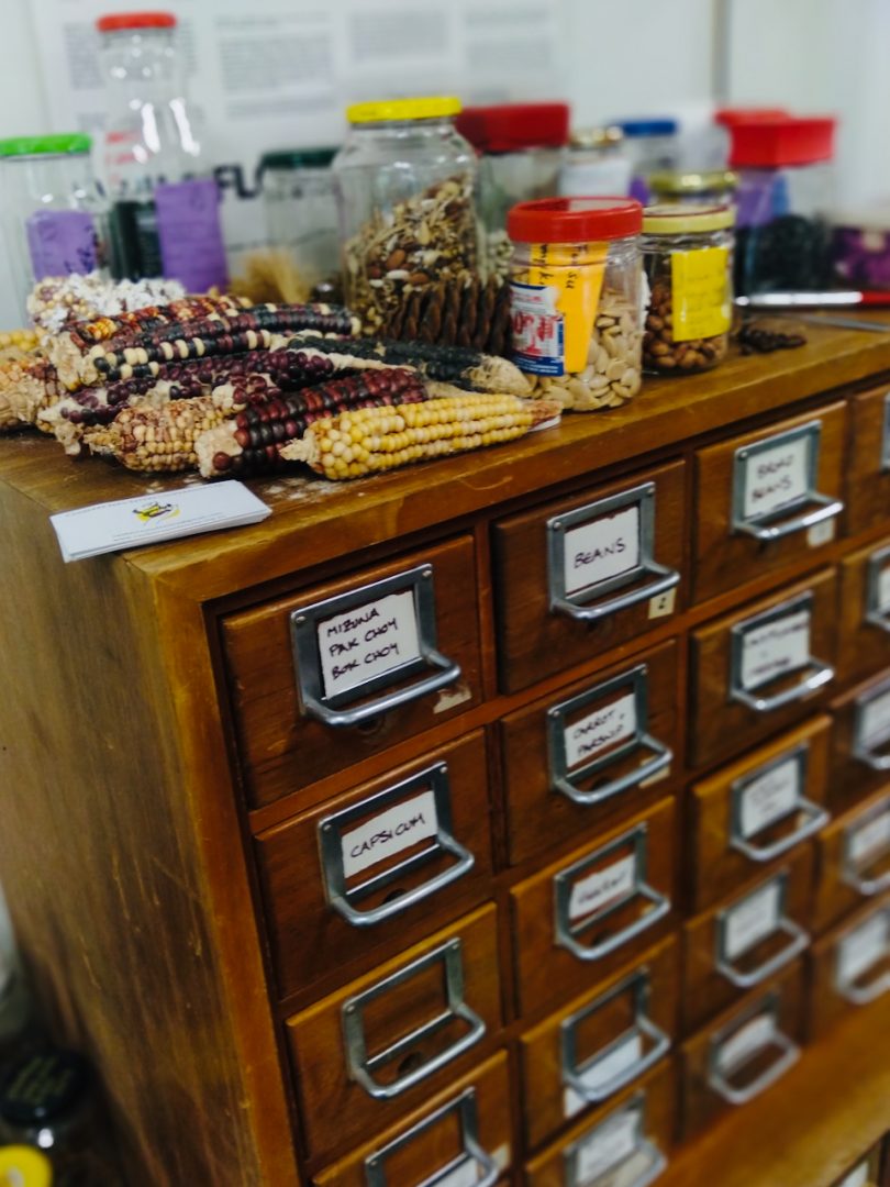 drawers labelled with seed types and jars of seeds