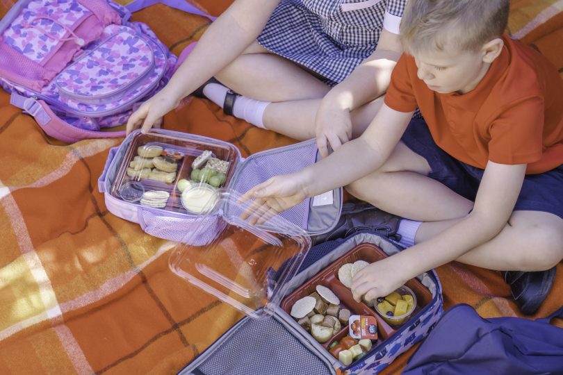 kids eating lunch on a picnic blanket