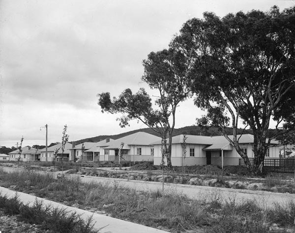 "Tocumwals" from Tocumwal Air Force Base in NSW were relocated to Ainslie and O'Connor in the late 1940s and early 1950s. Photo: Libraries ACT Heritage Library (009254).