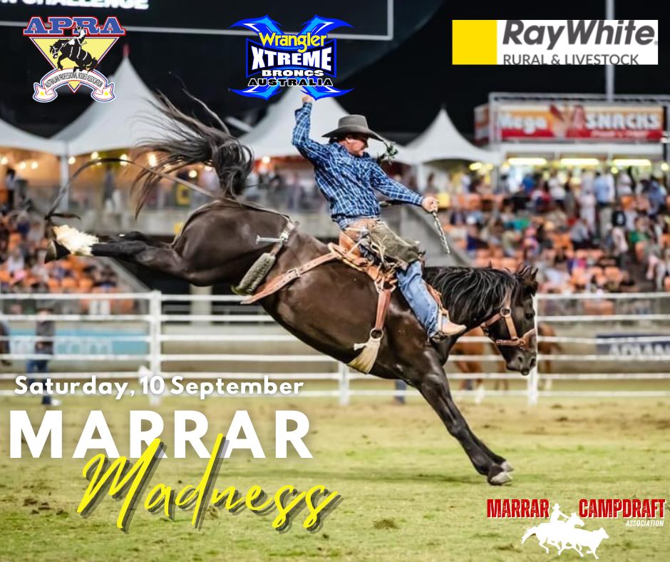 Flyer for rodeo featuring cowboy on a bucking horse