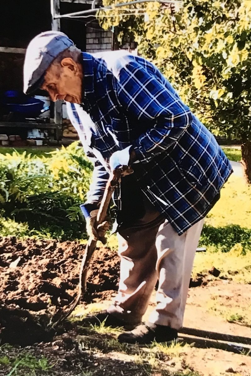 Elderly man gardening