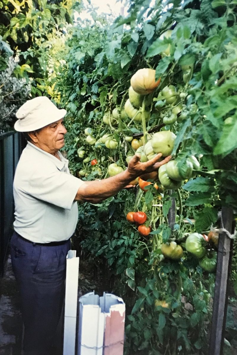 Old man in garden 