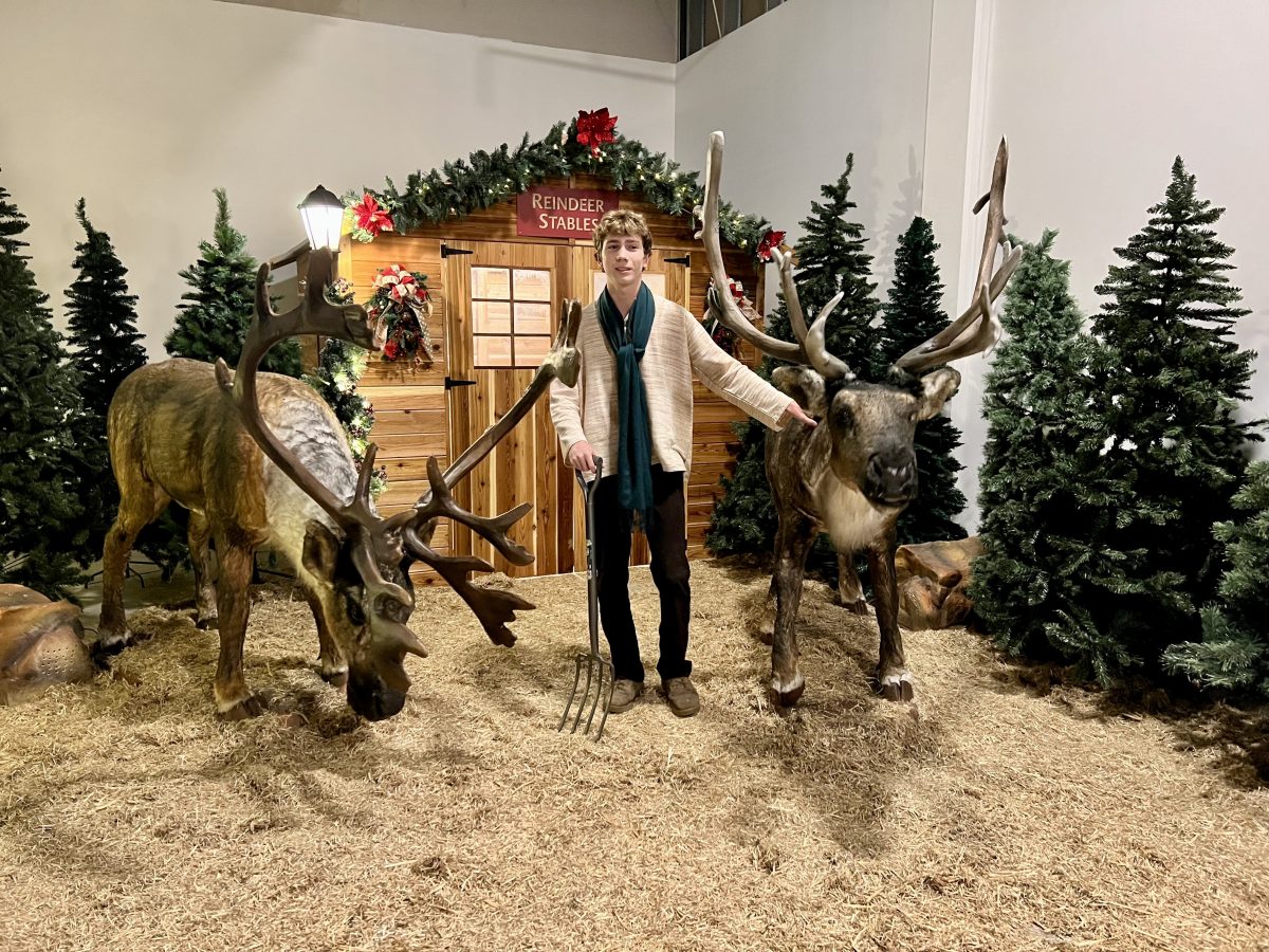 boy with two large fake reindeer