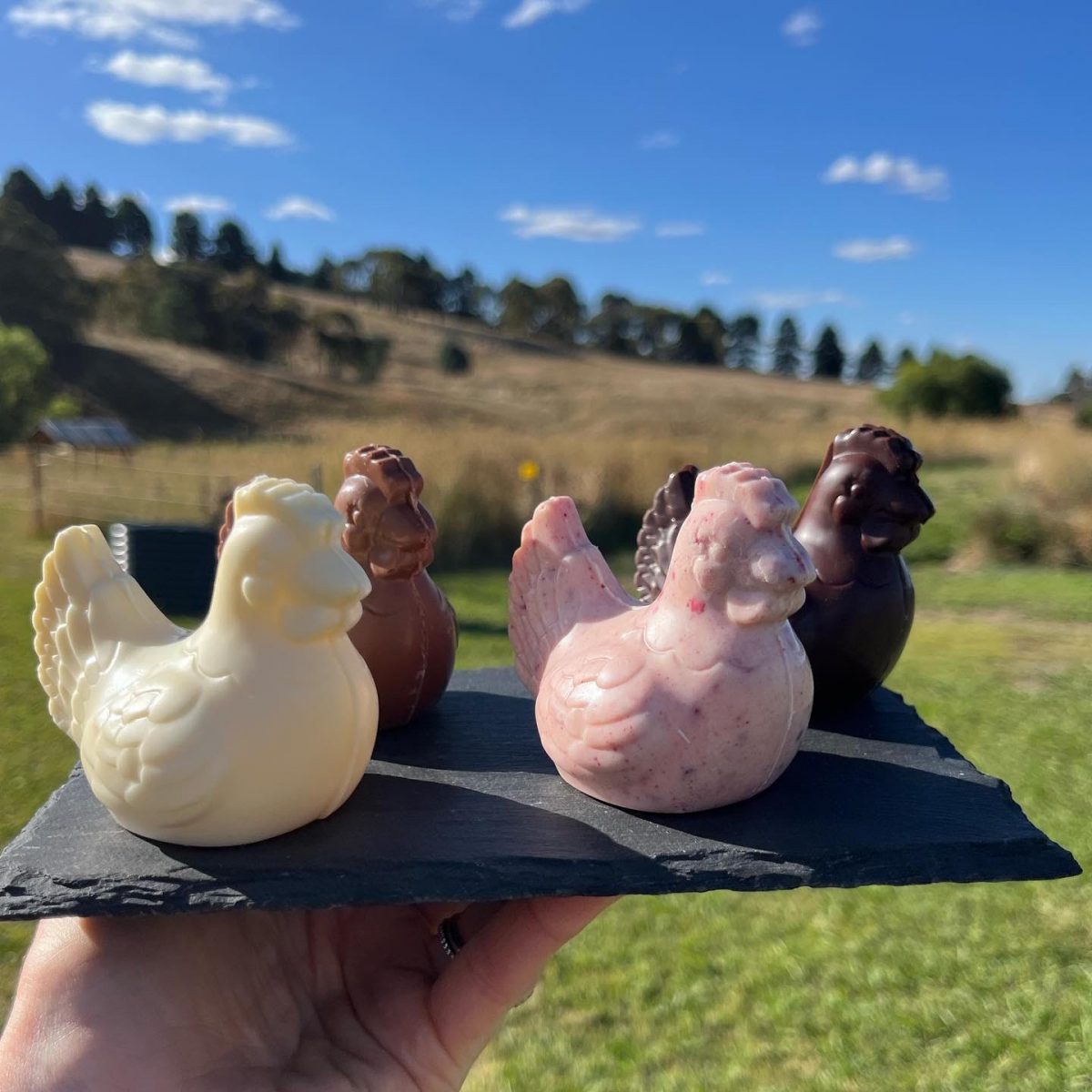 four colourful chocolate hens held on a piece of black slate in front of landscape