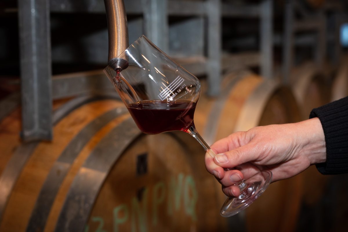 Red wine pours from a barrel nozzle into a glass