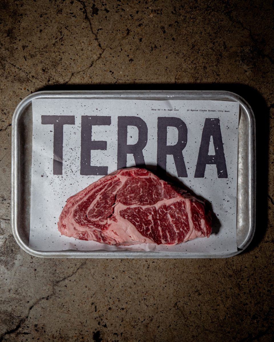 steak on a tray with Terra logo