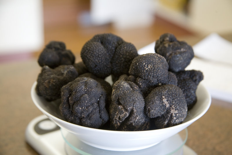 bowl of black truffles