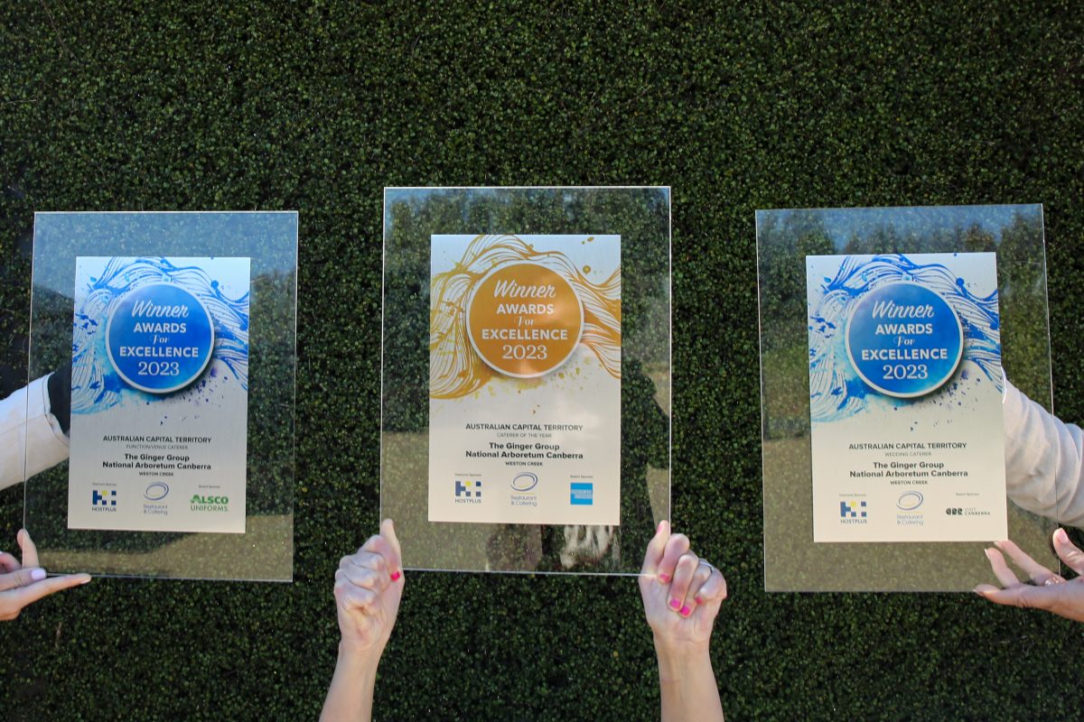 three awards being held up