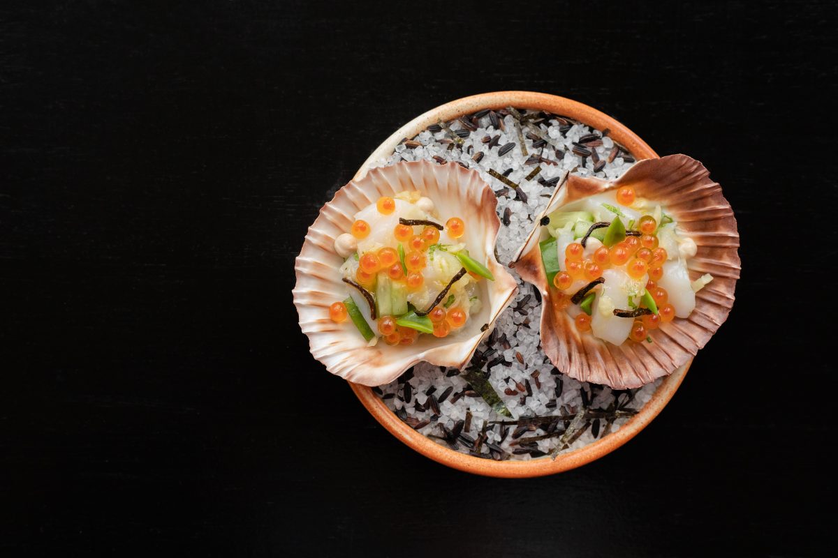 Beautiful dish of scallops on half shell with roe against a black backdrop.