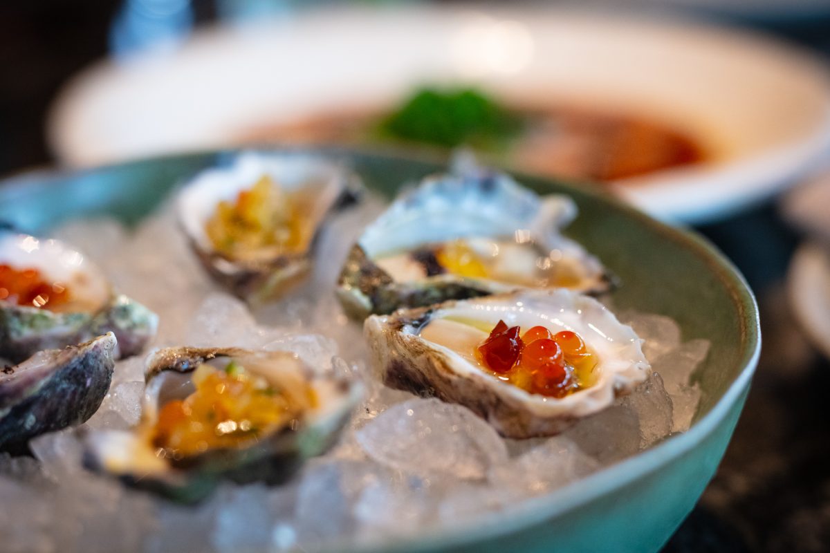 Plate of oysters on ice
