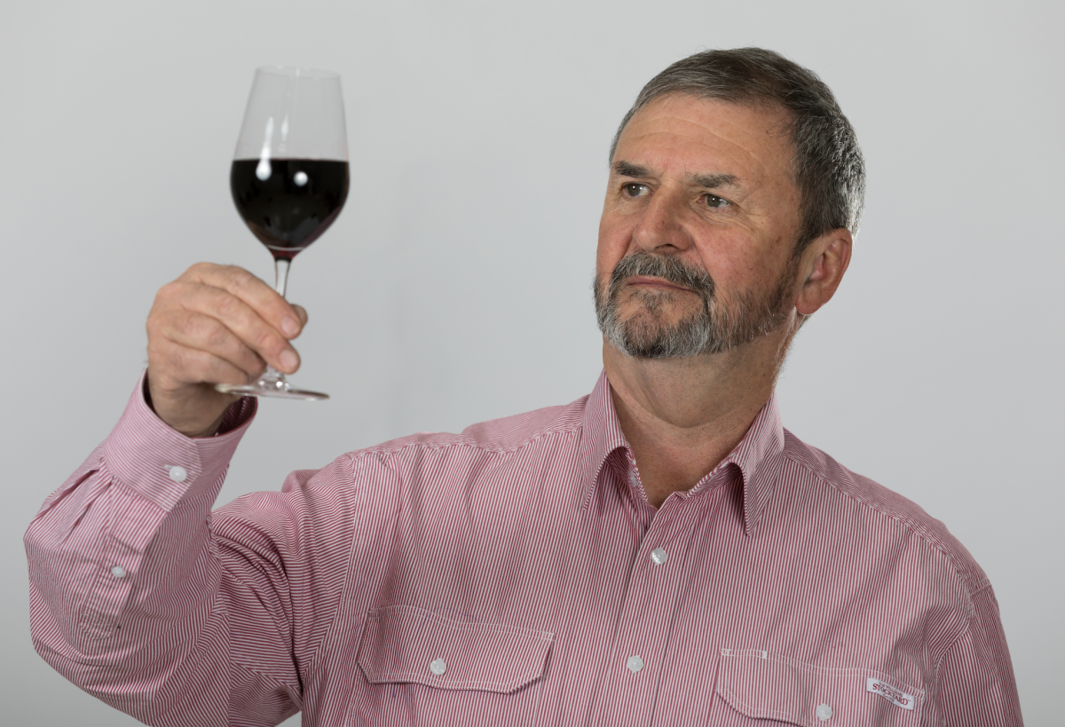 A man in a pink shirt holding a glass of red wine up