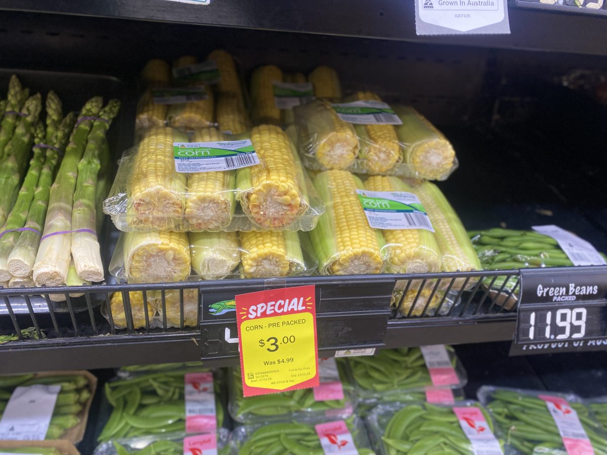 Sweet corn wrapped in plastic. 