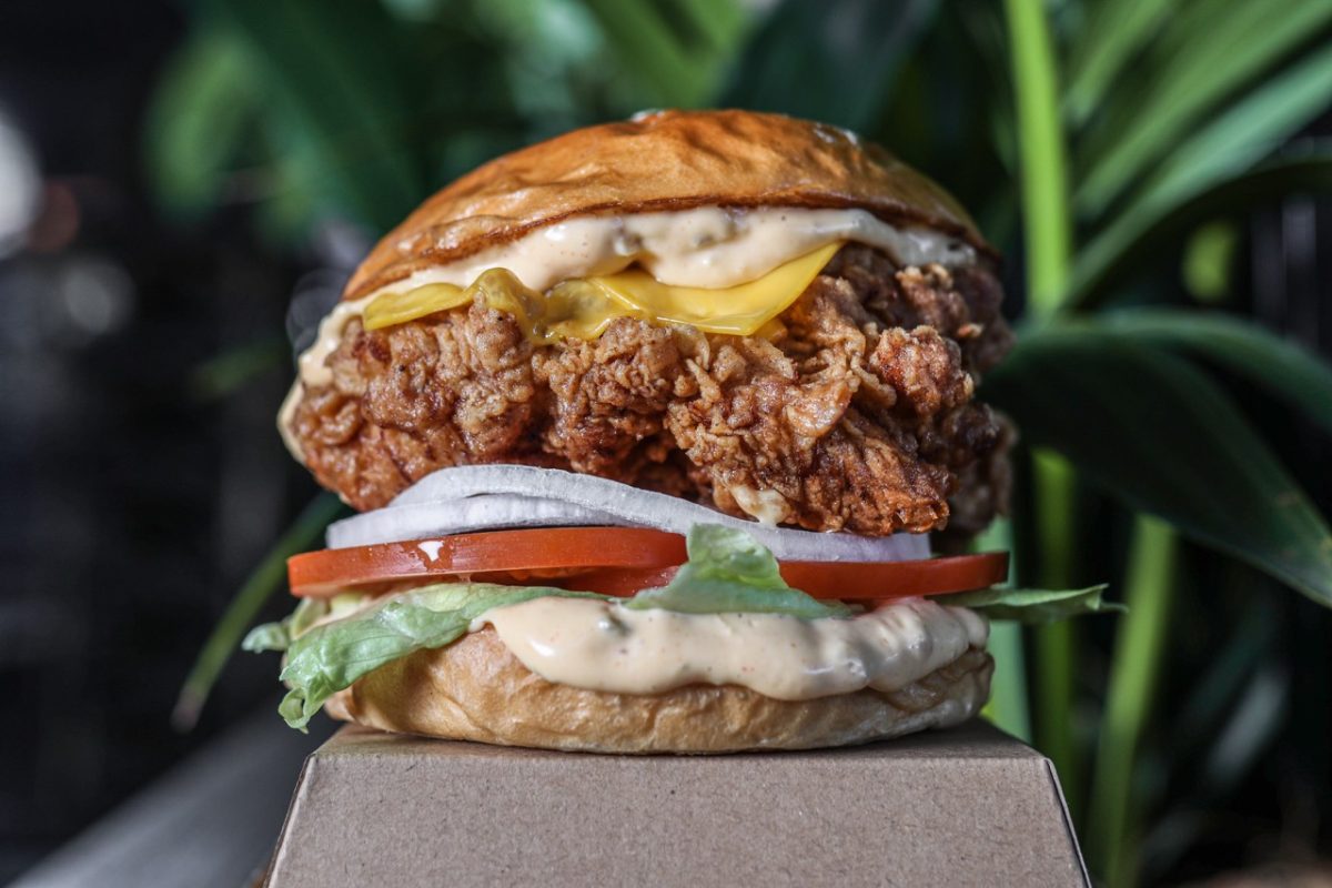 Close up on fried chicken burger