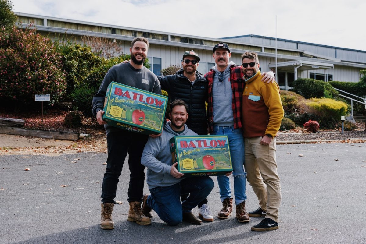 Group of men hold Batlow branded boxes