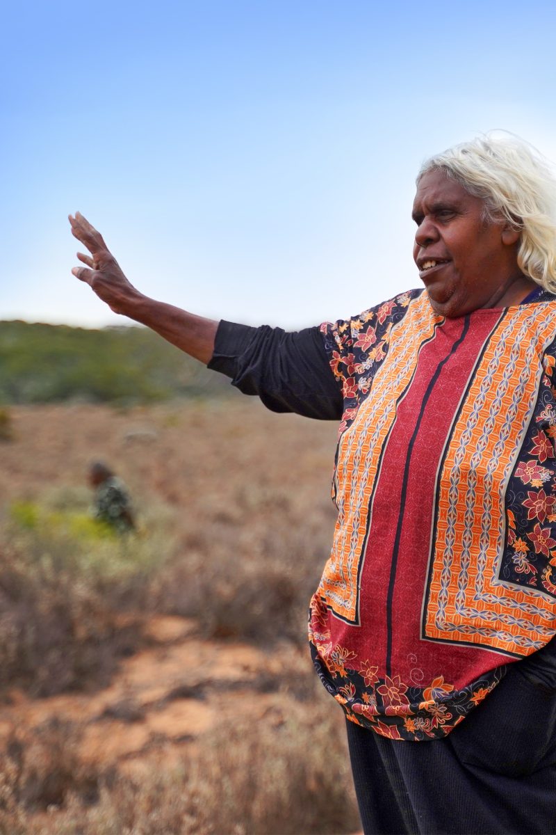 Maralinga Tjarutja in a brightly coloured outfit with arm raised 