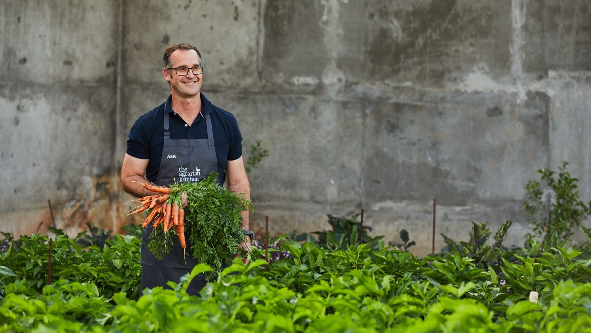 Man wearing apron holds a bunch of freshly picked carrots.