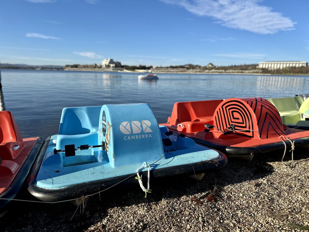 Paddle boats