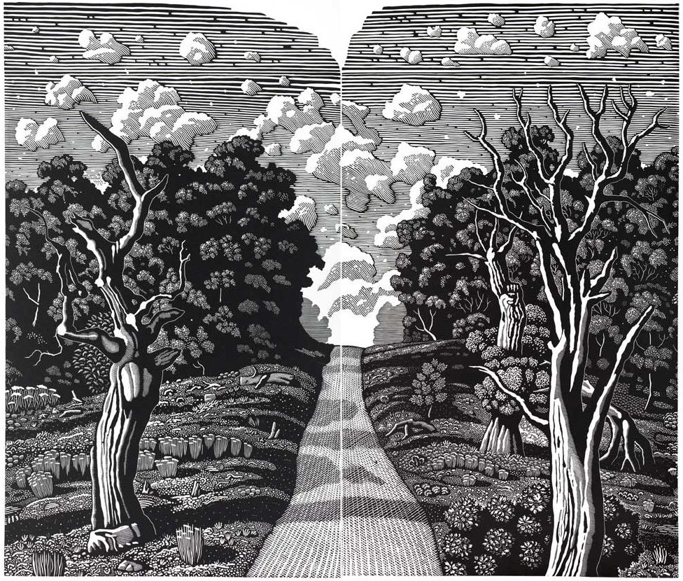 Landscape format - central pathway through a wooded area