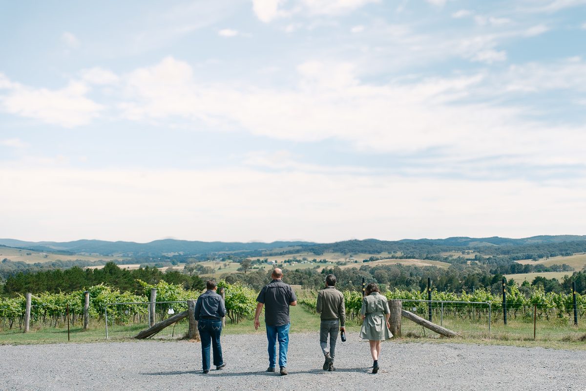 Four people walk away from the camera towards a vineyard.