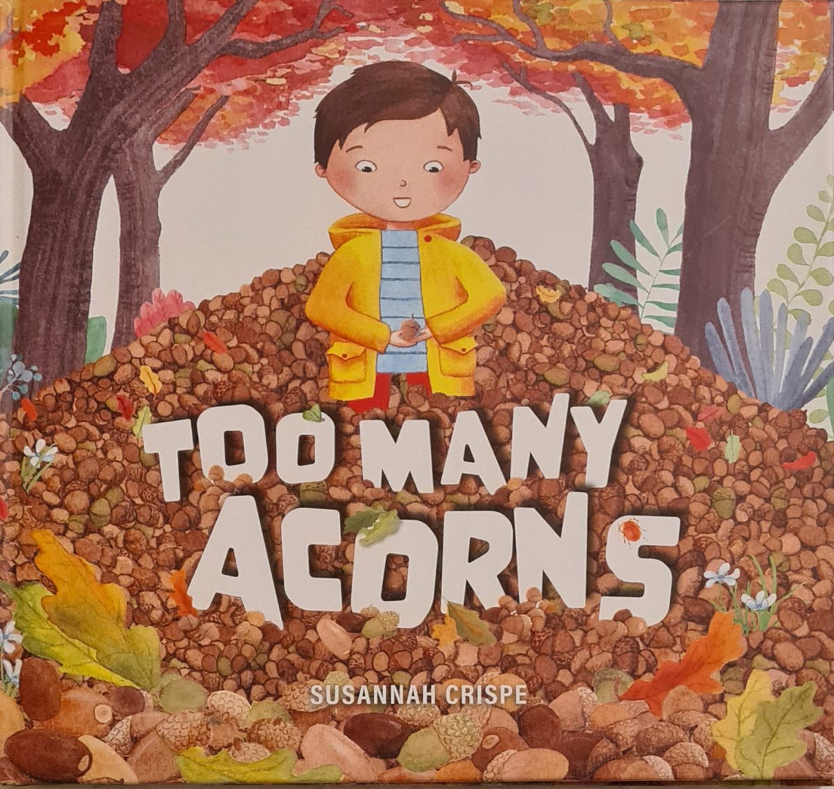 Cover of Susannah Crispe's Too Many Acorns