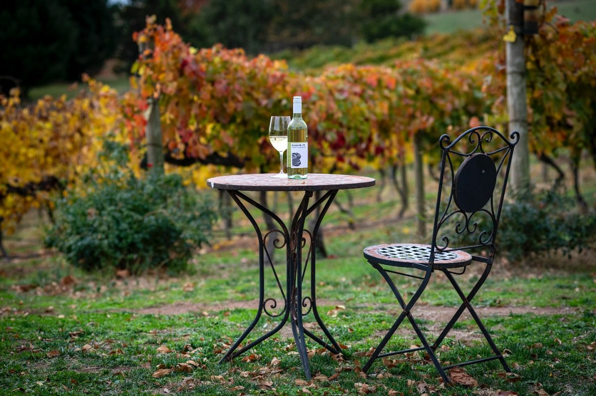 A glass and bottle of wine sitting on an outdoor table in front of autumn leaves.