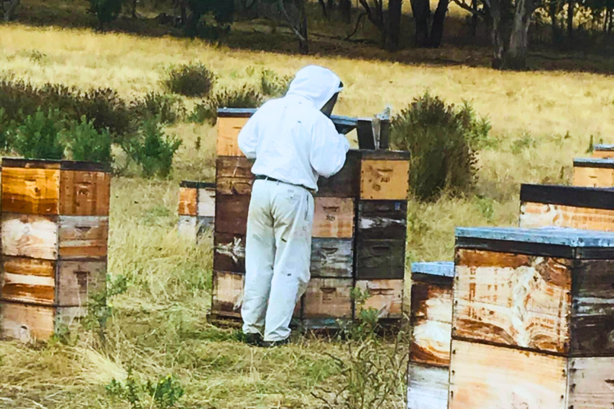 Beekeeper