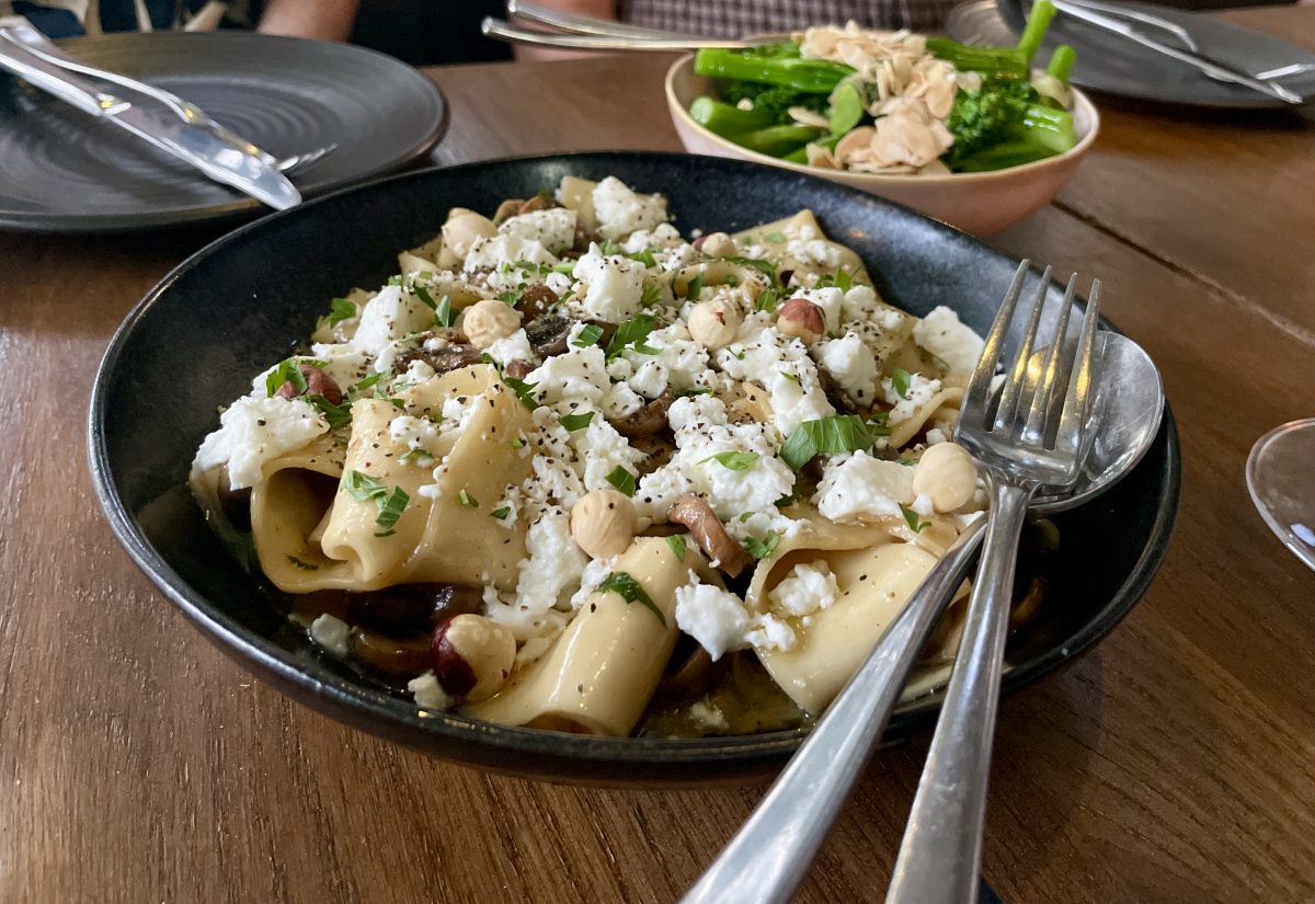 A bowl of pappardelle pasta with goats cheese, mushrooms and hazelnuts.