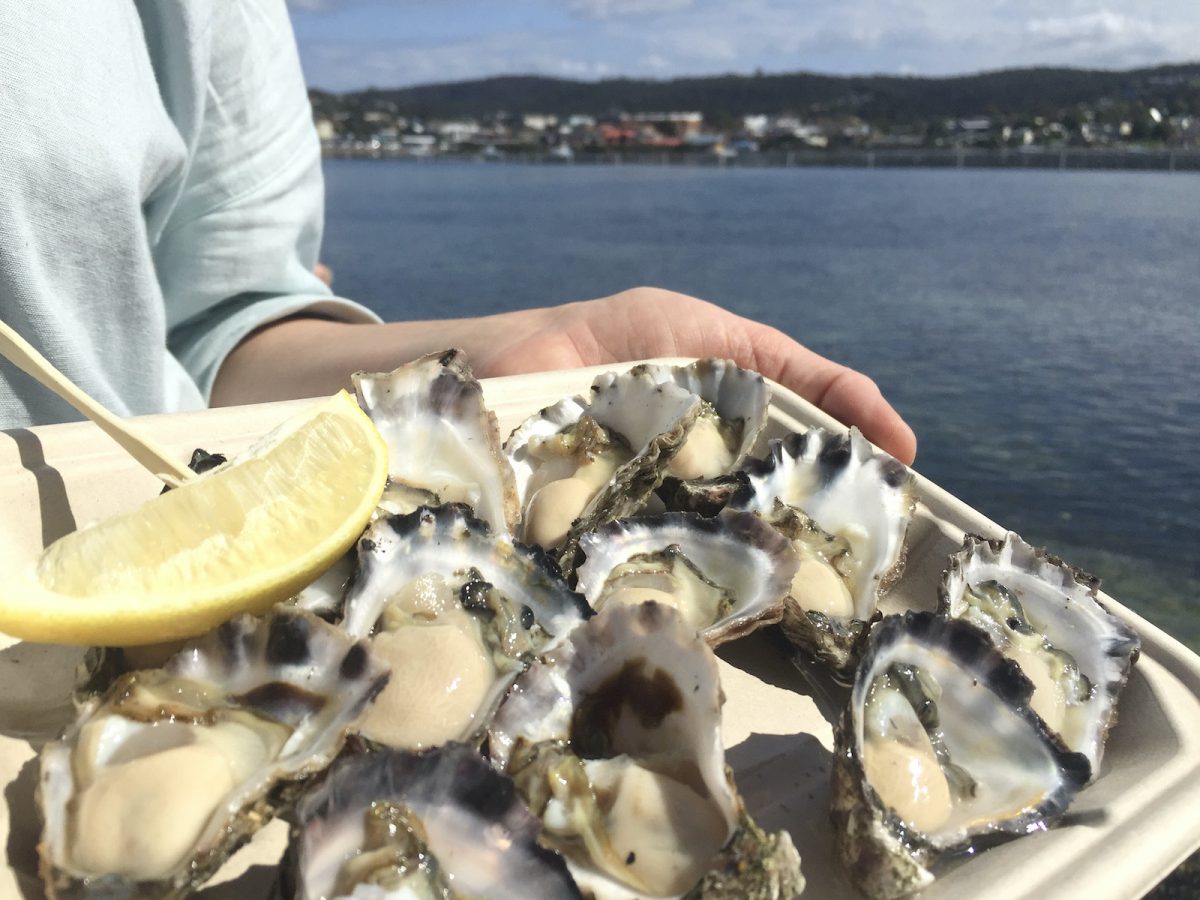 Oysters for sure, and plenty of local fare to excite at EAT Merimbula. Photo: Lisa Herbert