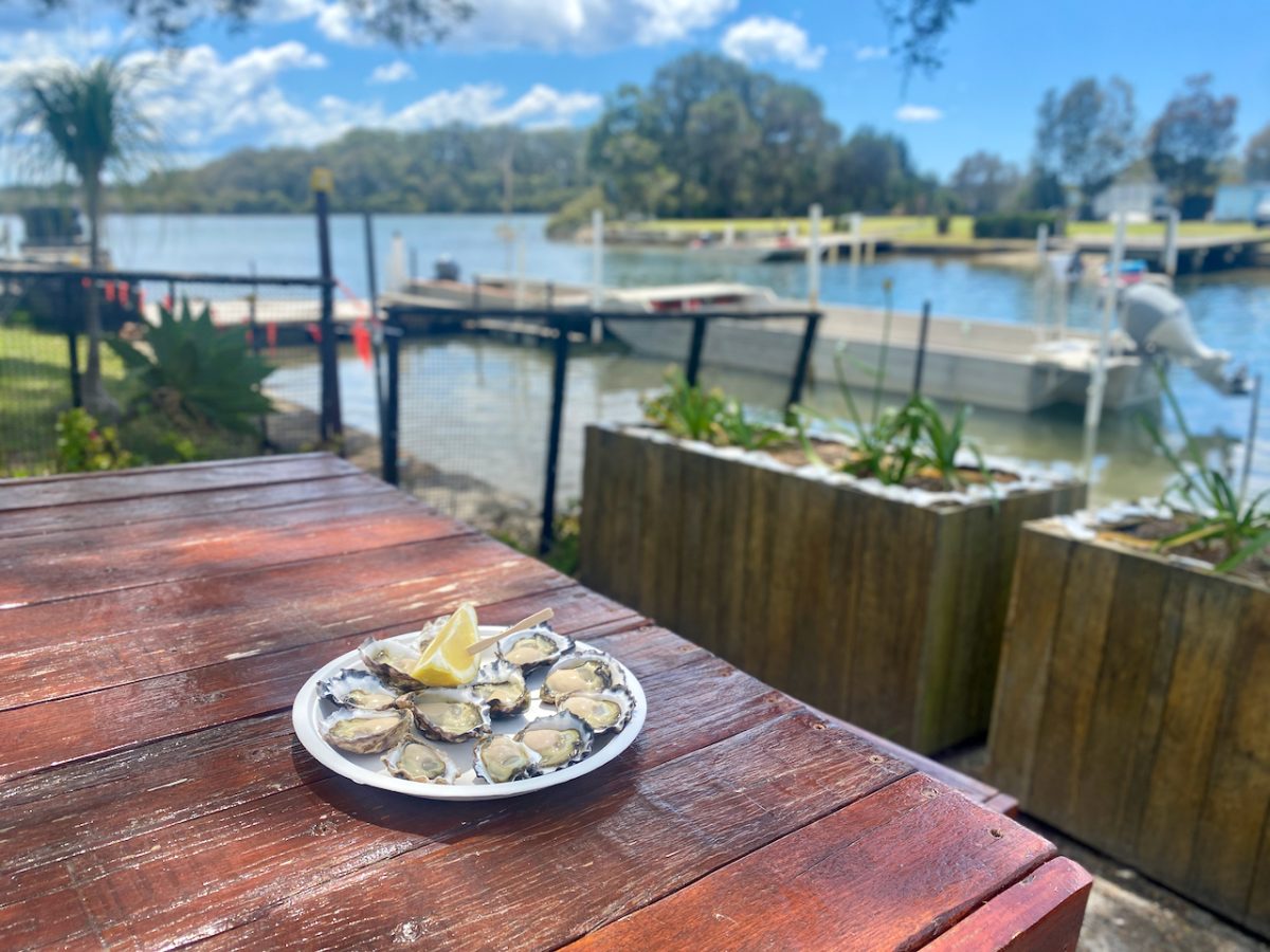 Plate of natural oysters next to waterway with boats.