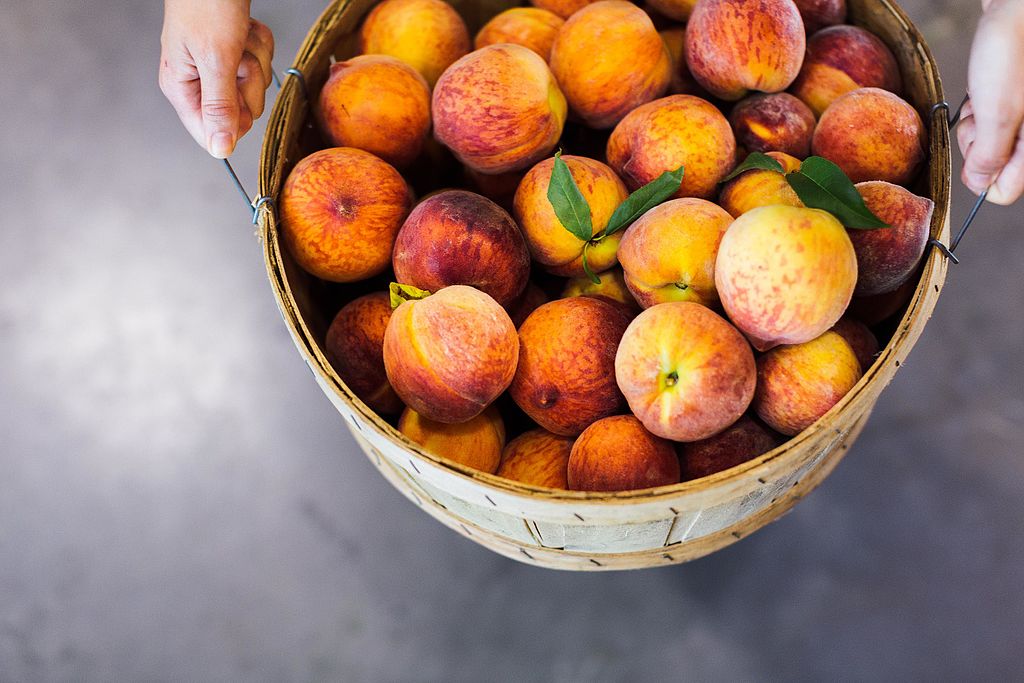 Canberra Day Trips: Seven spots to pick your own fruit