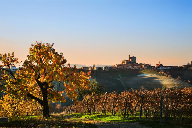 Hazelnuts, cyclists and Nebbiolo wine: from Italy to Murrumbateman