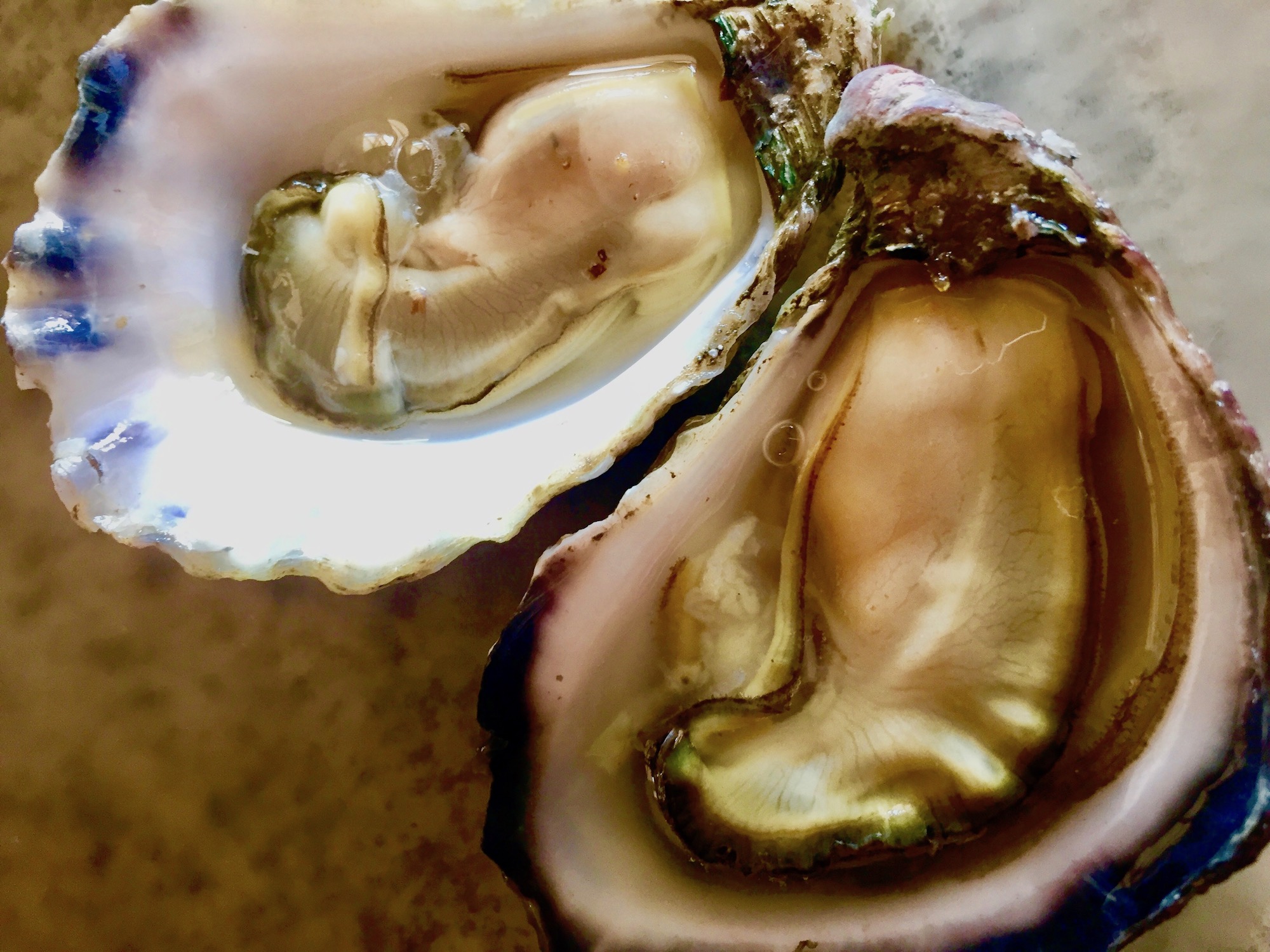Oyster, how do I love thee? Let me count the ways
