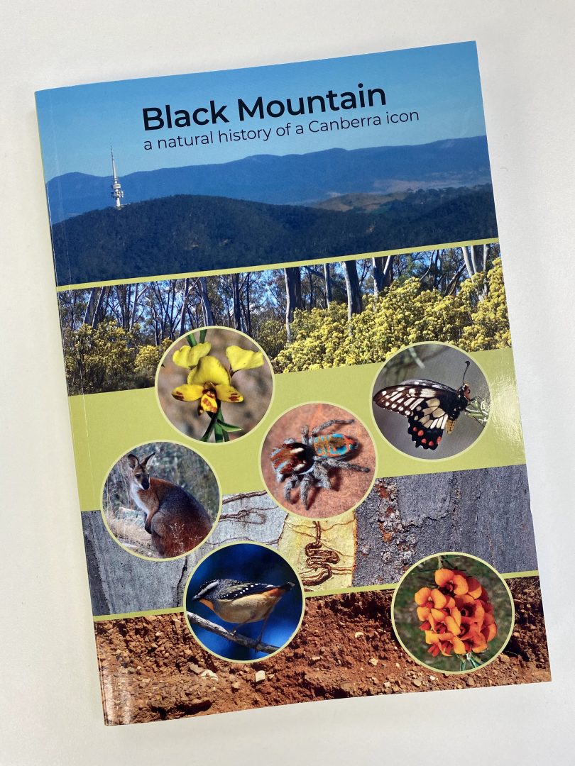 Black Mountain: a Canberra icon and a wilderness in our midst