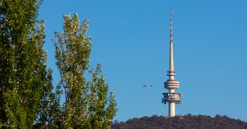 A revolving nightclub and 7 other things Canberrans want Telstra Tower turned into