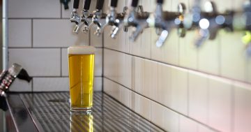 'It’s cheaper to buy illicit drugs than it is to drink alcohol': excise tax increases are choking local breweries