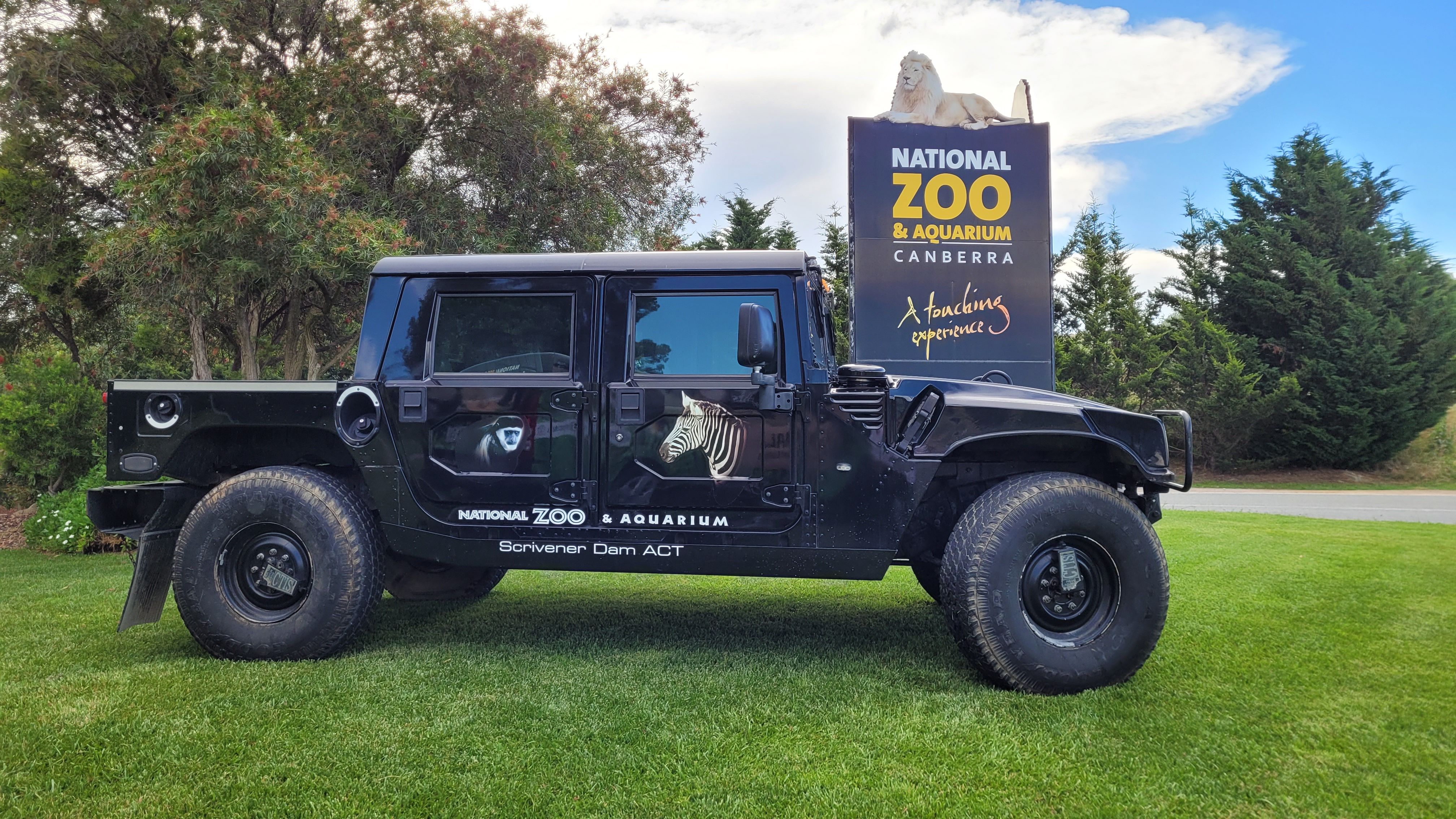 Zoo promises a wild night out with new packaged tours