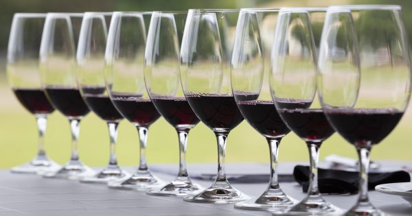 Canberra and Region Wine Show pours a glass of the district's finest