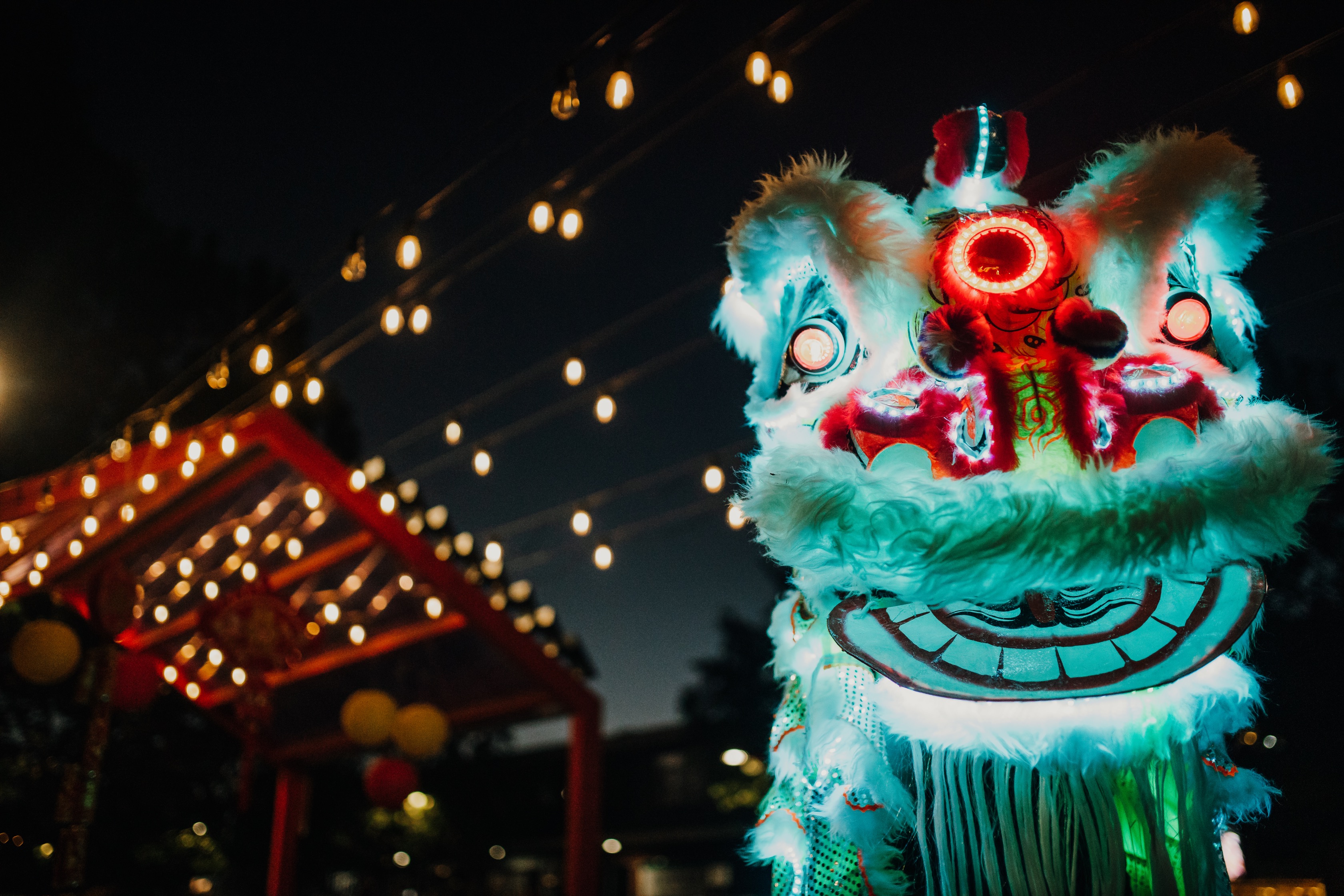 Lions and tigers and food, oh my! Celebrate Lunar New Year in Dickson