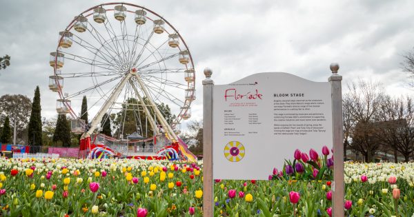 Floriade is back, but what's blooming this time?