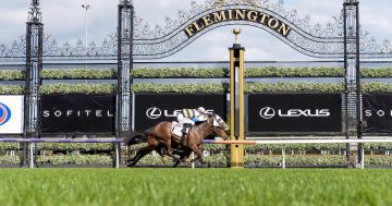 Can't make it to Flemington? Here's 9 places in Canberra to get you in the Melbourne Cup spirit