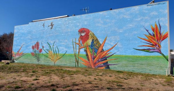 Striking mural transforms an eyesore and captures Kingston's imagination