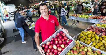 Capital Region Farmers Market moves to GIO Stadium for one-day 'Away Game'